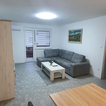 Apartma Sivi Zako Bohinj Buitenkant foto